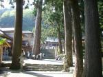 参道の杉と焼山寺本堂