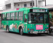 10-115zoobus.jpg