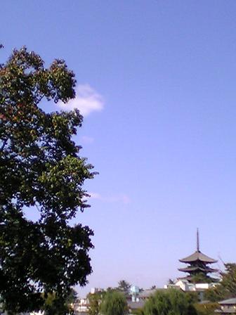 昼の興福寺五重塔