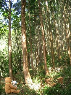 松阪市森林公園３