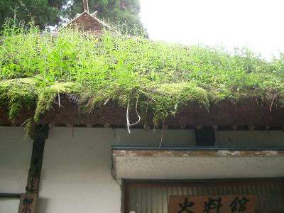 庵の屋根