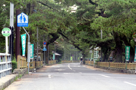 津田の松原の道