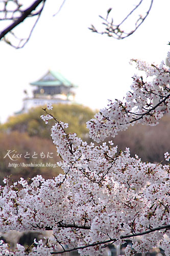 桜とお城（カラー）