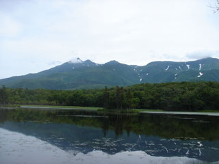知床五湖’2005.7.9