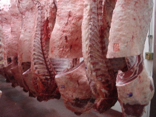 十勝枝肉市場02’2006.2.13