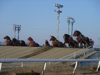 ばんえい記念03’2006.3.26