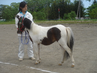 第34回根室種馬共進会01’2006.6.25