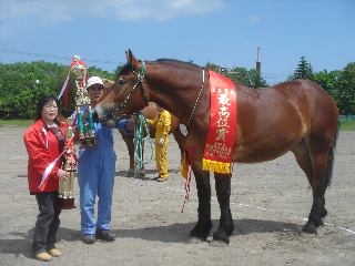 第34回根室種馬共進会02’2006.6.25