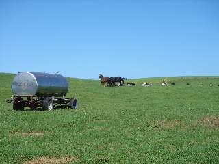 溝口牧場’2006.9.21