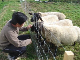 沖田と羊’2006.9.26