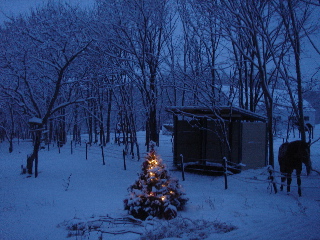 クリスマスツリー01’2006.12.9