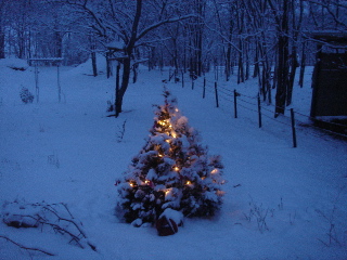 クリスマスツリー02’2006.12.9