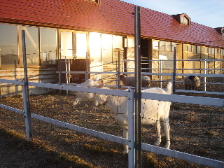 家畜改良センター03’2007.2.1