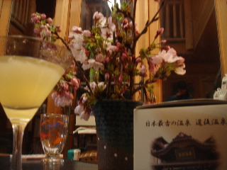 四方さんより桜’2007.3.29