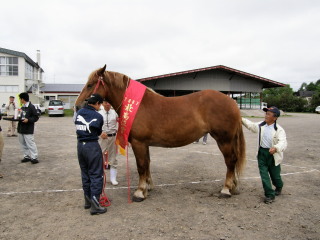 第35回根室種馬共進会02’2007.6.23