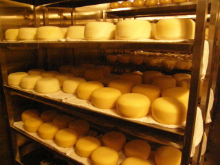 チーズ熟成庫’2007.10.5