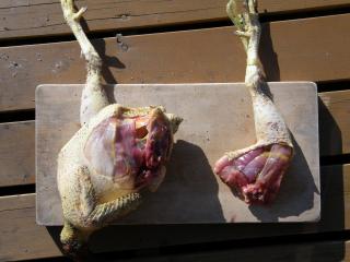 鶏を絞める01’2007.12.22
