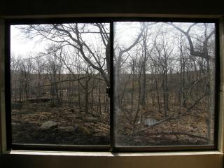 休憩室の窓’2008.3.27
