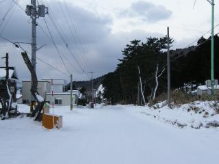 奥尻島東風泊01’2008.2.25