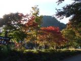 fuji 2008 autumn 2