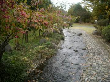 相模川自然の村