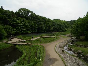 泉の森公園