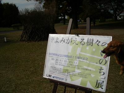 昭和記念公園