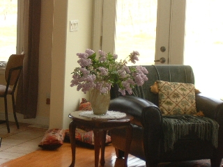 Lilac.jpg