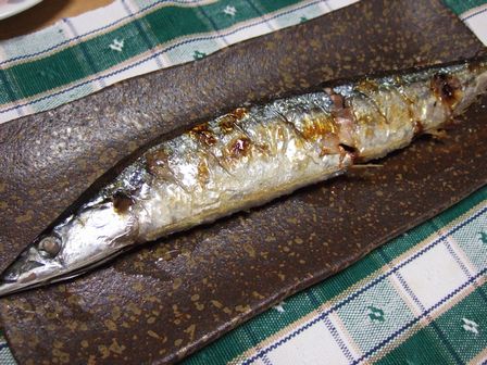 秋刀魚2
