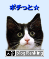 人気blog(猫)ランキングへ