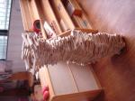 DSC00938.jpg
