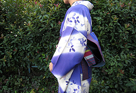 2008秋鎌倉みささんの萩のキモノ4