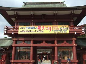 笠間稲荷神社「菊まつり」