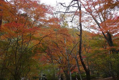 名馬里ヶ淵公園の紅葉