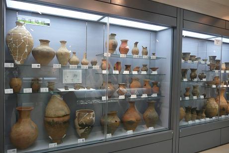 弥生時代の石器・土器の展示