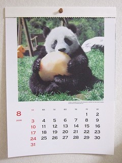 パンダカレンダー