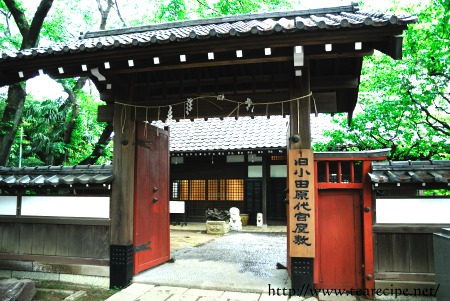 dd20080510-04.jpg