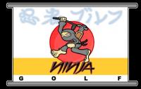 ninja2.jpg