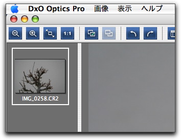 DxO_Optics_view.jpg